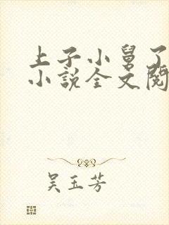 上子小舅了老婆小说全文阅读