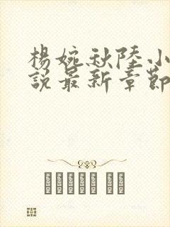 杨婉秋陆小伟小说最新章节在线阅读