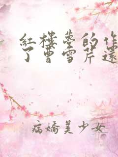 红楼梦的作者除了曹雪芹还有谁