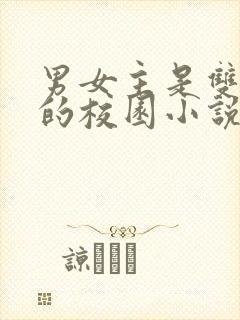 男女主是双校霸的校园小说