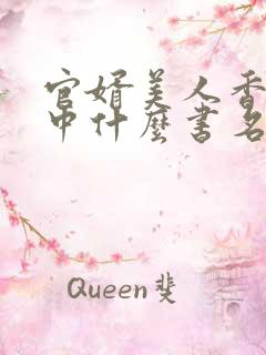 官婿美人香刘志中什么书名