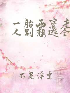 一胎两宝老婆大人别想逃全文阅读