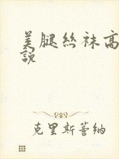 美腿丝袜高跟小说