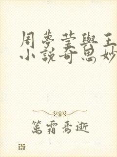 周梦莹与王伟忠小说奇思妙想免费阅读