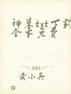 神墓txt下载全本免费