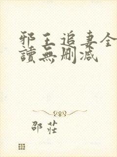 邪王追妻全文阅读无删减