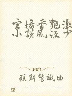官场香艳激情肉小说风流少年小说