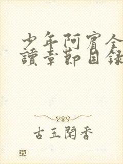 少年阿宾全文阅读章节目录