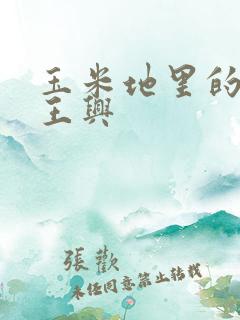 玉米地里的女人王兴
