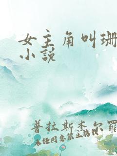 女主角叫珊珊的小说