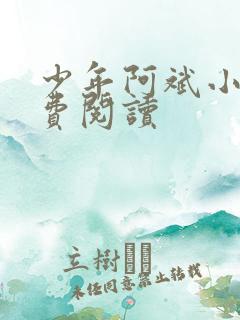 少年阿斌小说免费阅读