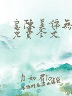 良陈美锦无弹窗免费全文