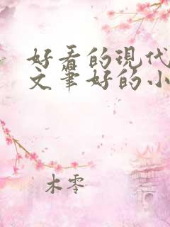 好看的现代言情文笔好的小说