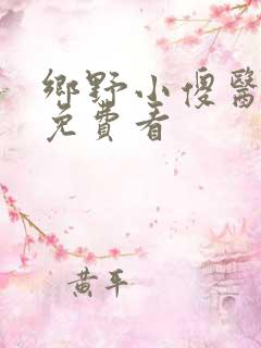 乡野小傻医小说免费看