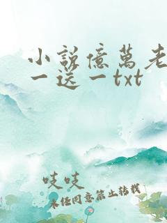 小说亿万老婆买一送一txt