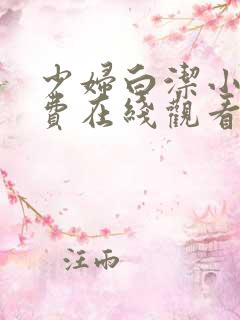 少妇白洁小说免费在线观看
