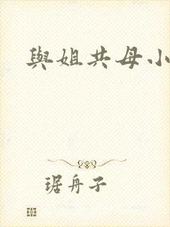 与姐共母小说
