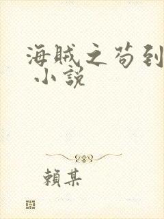 海贼之苟到大将 小说