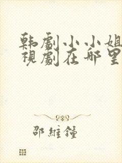 韩剧小小姐们电视剧在哪里看免费