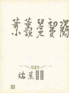 萧薰儿初次承欢小说免费阅读