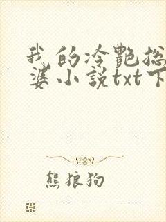 我的冷艳总裁老婆小说txt下载