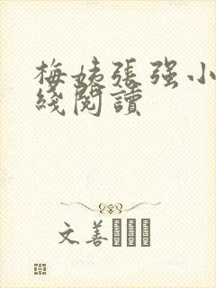 梅姨张强小说在线阅读