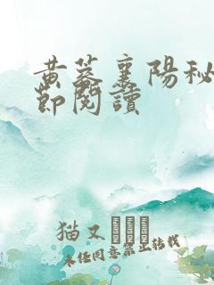 黄蓉襄阳秘史分节阅读