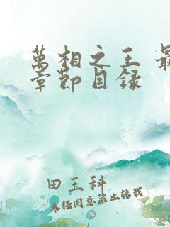 万相之王 最新章节目录