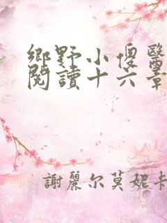 乡野小傻医免费阅读十六章