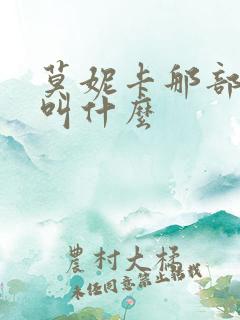 莫妮卡那部电影叫什么
