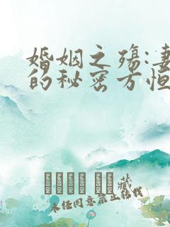 婚姻之殇:妻子的秘密方恒小说大结局