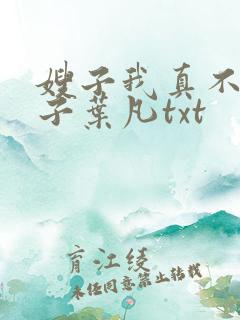 嫂子我真不是傻子叶凡txt
