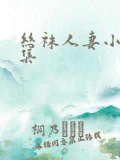 丝袜人妻小说合集