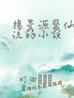 杨晨源医仙不风流的小说