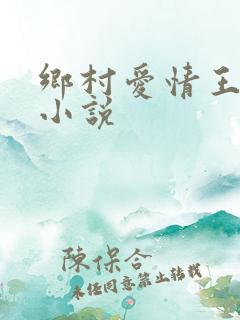 乡村爱情王小蒙小说