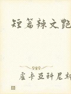 短篇辣文艳情