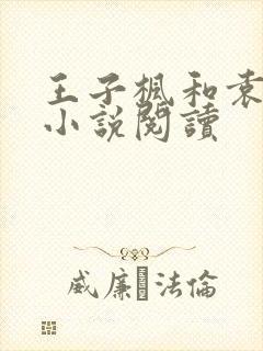 王子枫和袁雯洁小说阅读