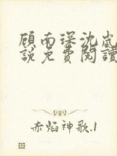 顾南琛沈岚晚小说免费阅读最新章节更新