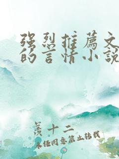 强烈推荐文笔好的言情小说