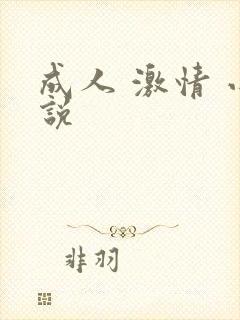 成人 激情 小说