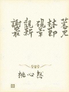 谢观砚林茉小说最新章节免费阅读全文