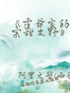 《霍爷家的小祖宗甜又野》