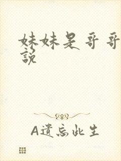 妹妹是哥哥的小说