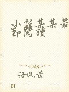 小说某某最新章节阅读