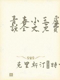 青春小玉卢叔小说全文免费阅读