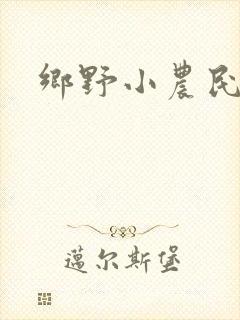 乡野小农民林飞