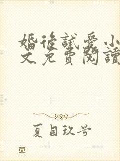 婚后试爱小说全文免费阅读