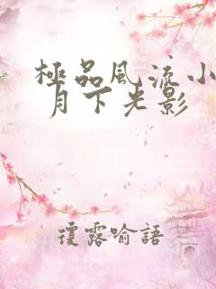 极品风流小村医 月下光影