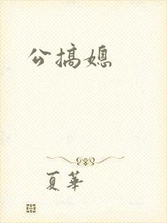 公搞媳
