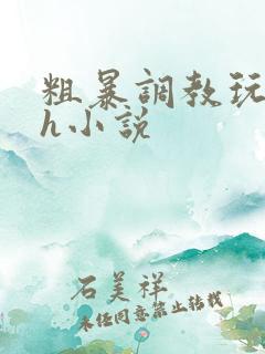 粗暴调教玩弄高h小说